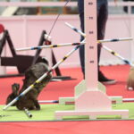 Króliki w Targach Kielce / Marzena Mąkosa / Radio Kielce