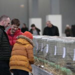 Króliki w Targach Kielce / Marzena Mąkosa / Radio Kielce