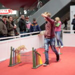 Króliki w Targach Kielce / Marzena Mąkosa / Radio Kielce