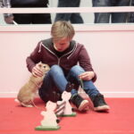 Króliki w Targach Kielce / Marzena Mąkosa / Radio Kielce