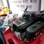 Podsumowanie akcji "Choinka pod choinkę". / Marzena Mąkosa / Radio Kielce