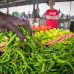 Muzyczne Podróże przez Świat. Sudan / Mirosław Lubarski