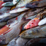 Muzyczne Podróże przez Świat. Sudan / Mirosław Lubarski