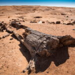 Sudan / Mirosław Lubarski