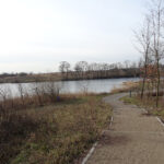 Bronina. Staw w Broninie k. Buska-Zdroju / Kamil Włosowicz / Radio Kielce