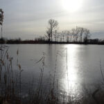 Bronina. Staw w Broninie k. Buska-Zdroju / Kamil Włosowicz / Radio Kielce