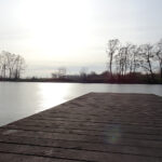 Bronina. Staw w Broninie k. Buska-Zdroju / Kamil Włosowicz / Radio Kielce