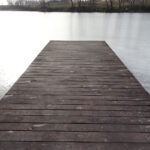 Bronina. Staw w Broninie k. Buska-Zdroju / Kamil Włosowicz / Radio Kielce