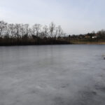 Bronina. Staw w Broninie k. Buska-Zdroju / Kamil Włosowicz / Radio Kielce