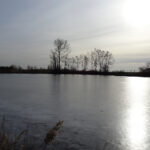 Bronina. Staw w Broninie k. Buska-Zdroju / Kamil Włosowicz / Radio Kielce