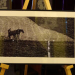 Skarżyskie Dni Fotografii - spotkanie z artystą fotografikiem Januszem Buczkowskim, współtwórcą Kieleckiej Szkoły Krajobrazu / Tomasz Piwko / Radio Kielce