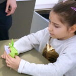 BWA. Warsztaty z origami / Marcin Różyc / Radio Kielce