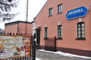 Ferie z krówką opatowską. Warsztaty organizowane przez OSM w Opatowie. / Emilia Sitarska / Radio Kielce