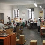 Ferie z krówką opatowską. Warsztaty organizowane przez OSM w Opatowie. / Emilia Sitarska / Radio Kielce