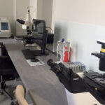 Ośrodek leczenia niepłodności w Wojewódzkim Szpitalu Zespolonym w Kielcach / Iwona Murawska / Radio Kielce