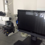 Ośrodek leczenia niepłodności w Wojewódzkim Szpitalu Zespolonym w Kielcach / Iwona Murawska / Radio Kielce