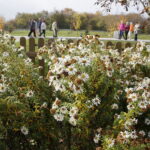 21.10.2017 Kielce. Ogród botaniczny, Dzień otwarty / Jarosław Kubalski / Radio Kielce