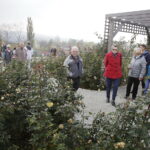 21.10.2017 Kielce. Ogród botaniczny, Dzień otwarty / Jarosław Kubalski / Radio Kielce