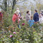 21.10.2017 Kielce. Ogród botaniczny, Dzień otwarty / Jarosław Kubalski / Radio Kielce