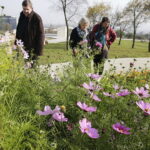 21.10.2017 Kielce. Ogród botaniczny, Dzień otwarty / Jarosław Kubalski / Radio Kielce