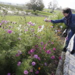 21.10.2017 Kielce. Ogród botaniczny, Dzień otwarty / Jarosław Kubalski / Radio Kielce