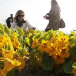 21.10.2017 Kielce. Ogród botaniczny, Dzień otwarty / Jarosław Kubalski / Radio Kielce