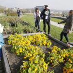 21.10.2017 Kielce. Ogród botaniczny, Dzień otwarty / Jarosław Kubalski / Radio Kielce