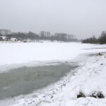 08.02.2018 Kielce. Ślady działalności bobrów nad zalewem. Tzw. zgryzy / Jarosław Kubalski / Radio Kielce