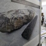 28.02.2018 Warszawa. Sejm RP. Otwarcie wystawy Krzemionki – pradziejowe kopalnie krzemienia pasiastego w drodze do UNESCO / Jarosław Kubalski / Radio Kielce