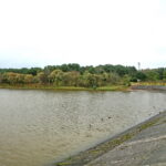 Otoczenie Cedzyny / Marzena Mąkosa / Radio Kielce