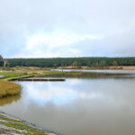 Otoczenie Cedzyny / Marzena Mąkosa / Radio Kielce