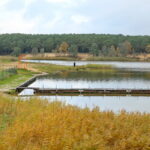 Otoczenie Cedzyny / Marzena Mąkosa / Radio Kielce