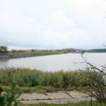 Otoczenie Cedzyny / Marzena Mąkosa / Radio Kielce