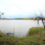 Otoczenie Cedzyny / Marzena Mąkosa / Radio Kielce