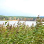 Otoczenie Cedzyny / Marzena Mąkosa / Radio Kielce