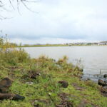 Otoczenie Cedzyny / Marzena Mąkosa / Radio Kielce