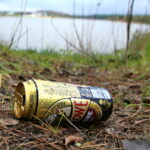 Otoczenie Cedzyny / Marzena Mąkosa / Radio Kielce