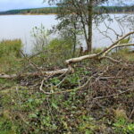 Otoczenie Cedzyny / Marzena Mąkosa / Radio Kielce