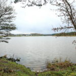 Otoczenie Cedzyny / Marzena Mąkosa / Radio Kielce