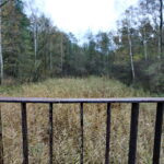 Otoczenie Cedzyny / Marzena Mąkosa / Radio Kielce