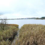 Otoczenie Cedzyny / Marzena Mąkosa / Radio Kielce