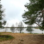 Otoczenie Cedzyny / Marzena Mąkosa / Radio Kielce