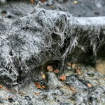 Otoczenie Cedzyny. Zniszczony plac zabaw / Marzena Mąkosa / Radio Kielce