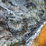 Otoczenie Cedzyny. Zniszczony plac zabaw / Marzena Mąkosa / Radio Kielce