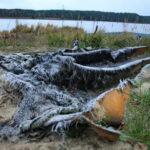 Otoczenie Cedzyny. Zniszczony plac zabaw / Marzena Mąkosa / Radio Kielce