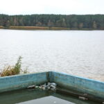 Otoczenie Cedzyny. Śmieci / Marzena Mąkosa / Radio Kielce