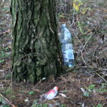 Otoczenie Cedzyny. Śmieci / Marzena Mąkosa / Radio Kielce