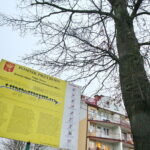 Dąb przy ulicy Turystycznej / Marzena Mąkosa / Radio Kielce