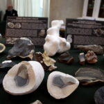 Giełda minerałów w Kieleckim Centrum Kultury. Kamienie szlachetne / Marzena Mąkosa / Radio Kielce