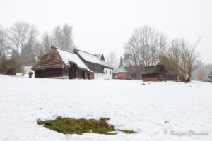 Skansen Vesely Kopec. Karnawał Masopust / Stanisław Blinstrub / Radio Kielce